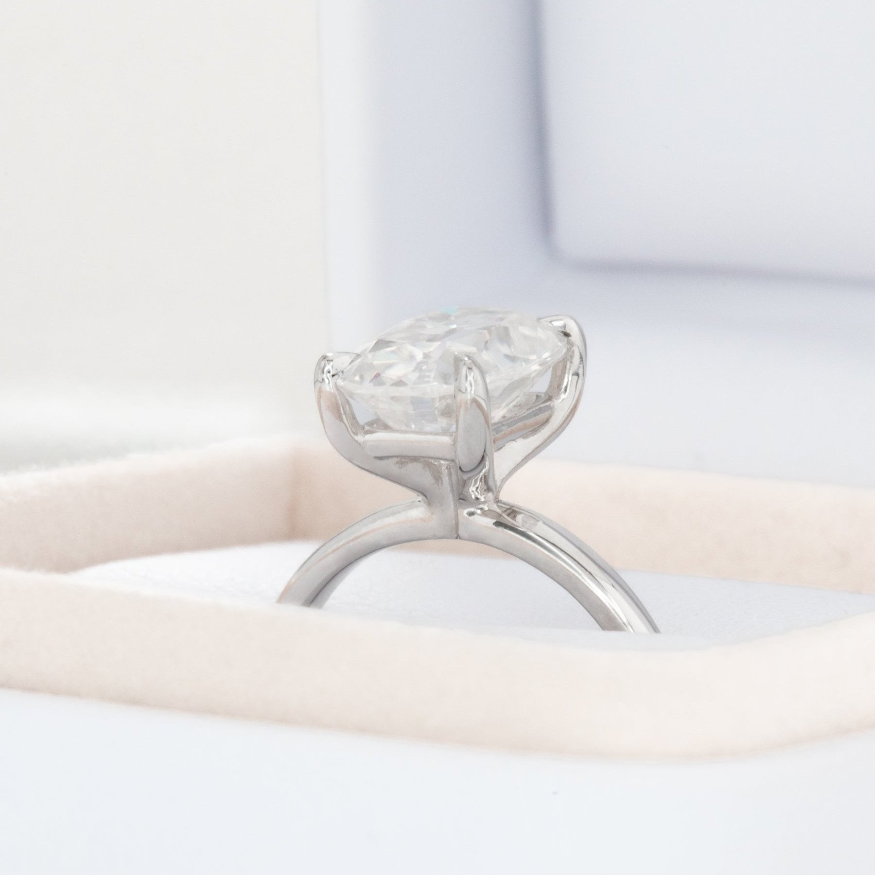 charmaine solitaire in white gold and moissanite