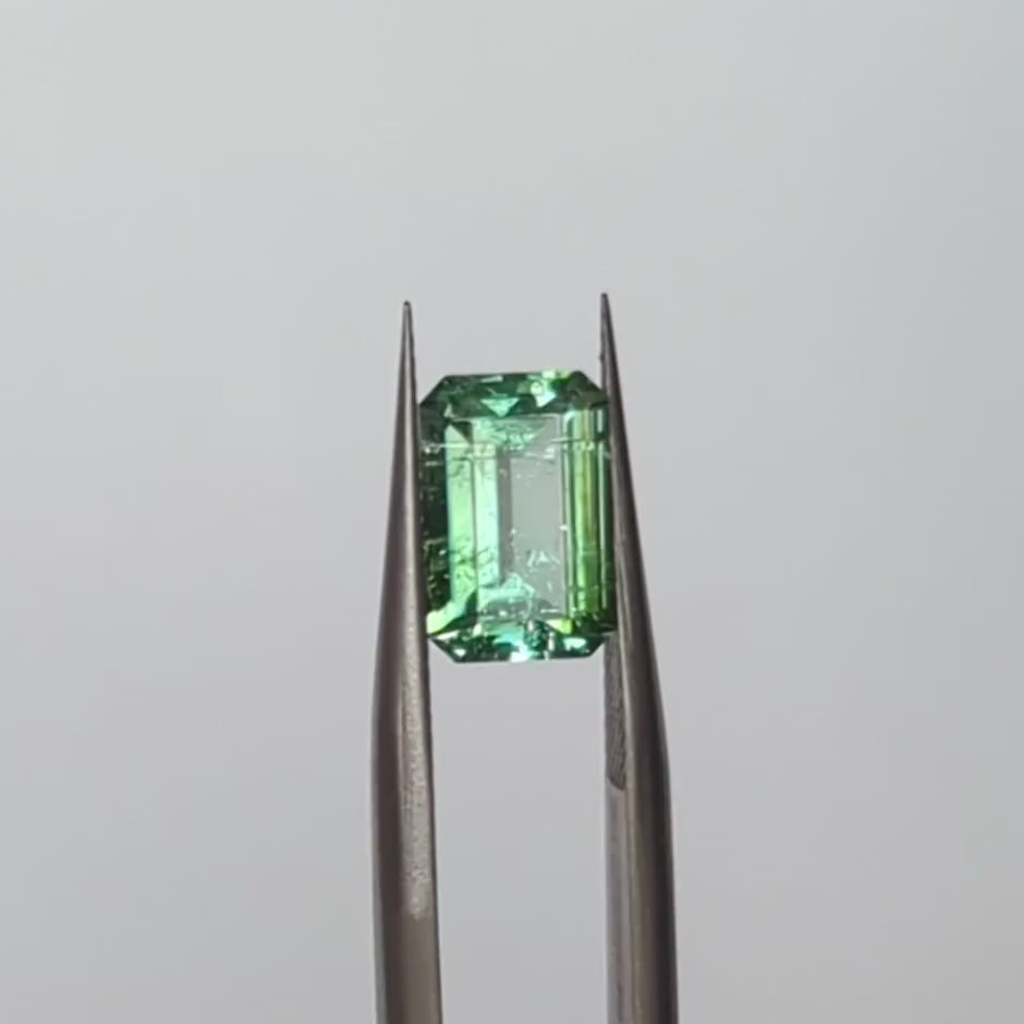 tl0116 light green step cut tourmaline